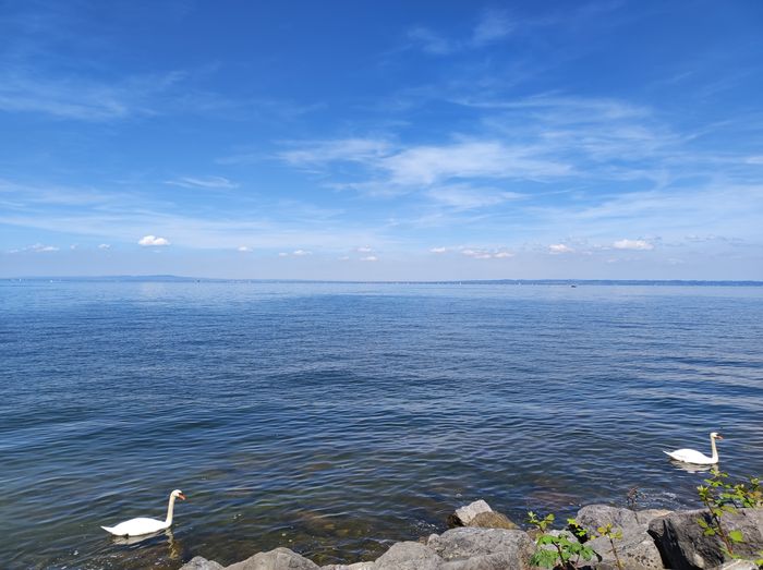 Bodensee