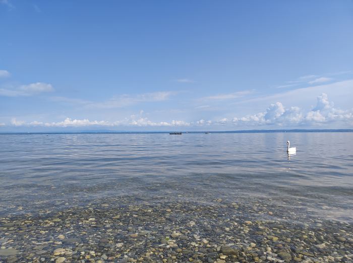 Bodensee