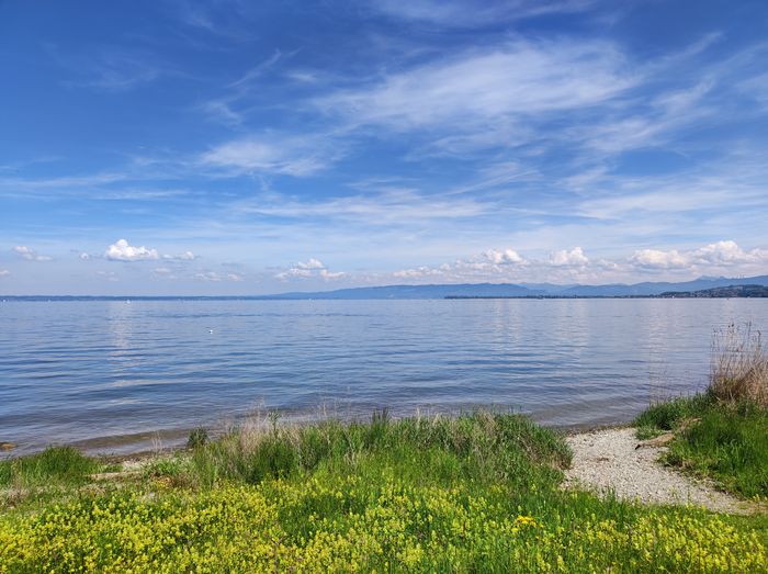 Bodensee